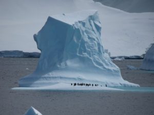 Penguins on iceberg