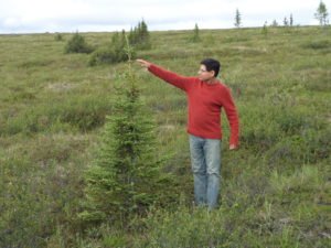Man comparing height to small tree