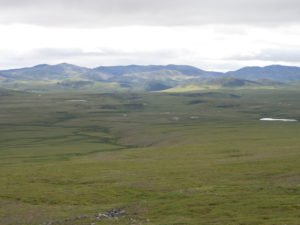 Fields and mountains in sub-Arctic tundra in Yukon