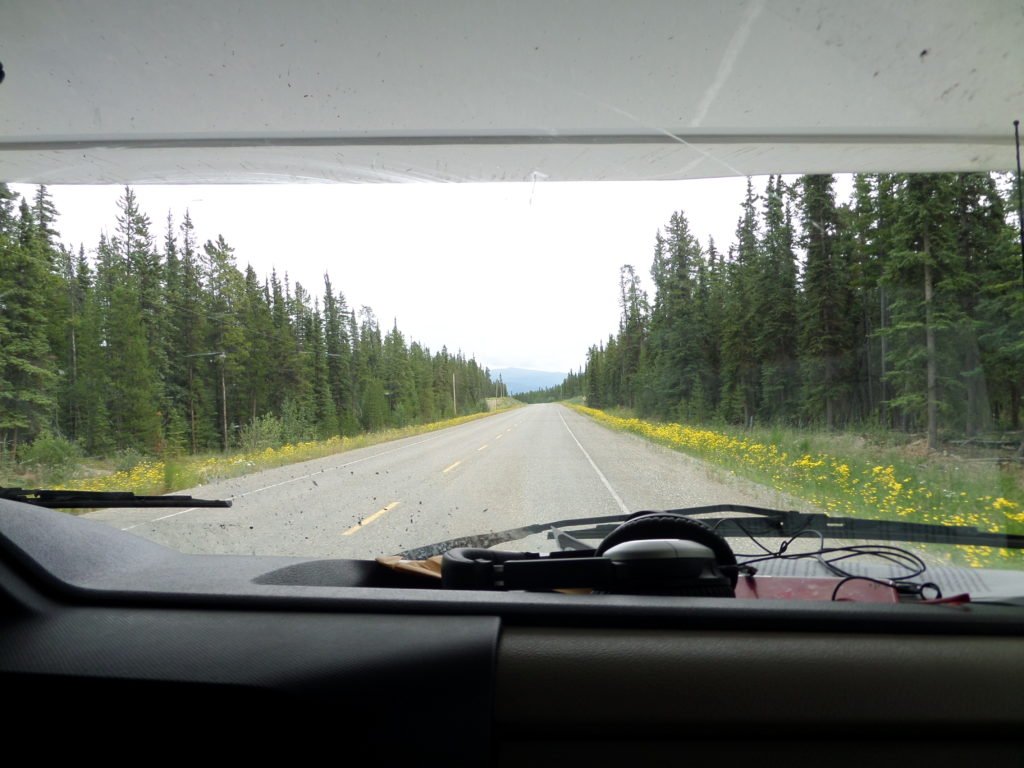 Boreal forest of Klondike Highway