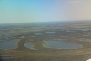 Marshes seen by plane in Northwest Territories