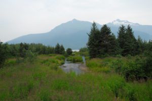Mountain and Alaskan greenery