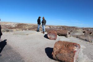 Petrified Forest National Park