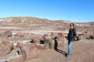 Petrified Forest National Park