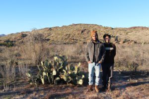 Desert landscape of Tonto National Forest