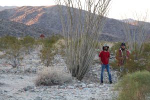 Joshua Tree National Park