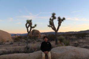 Joshua Tree National Park