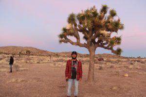 A Joshua Tree