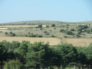 Glistening fields