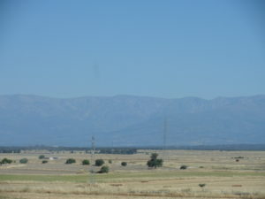 Agricultural fields