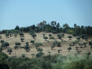 A farm house