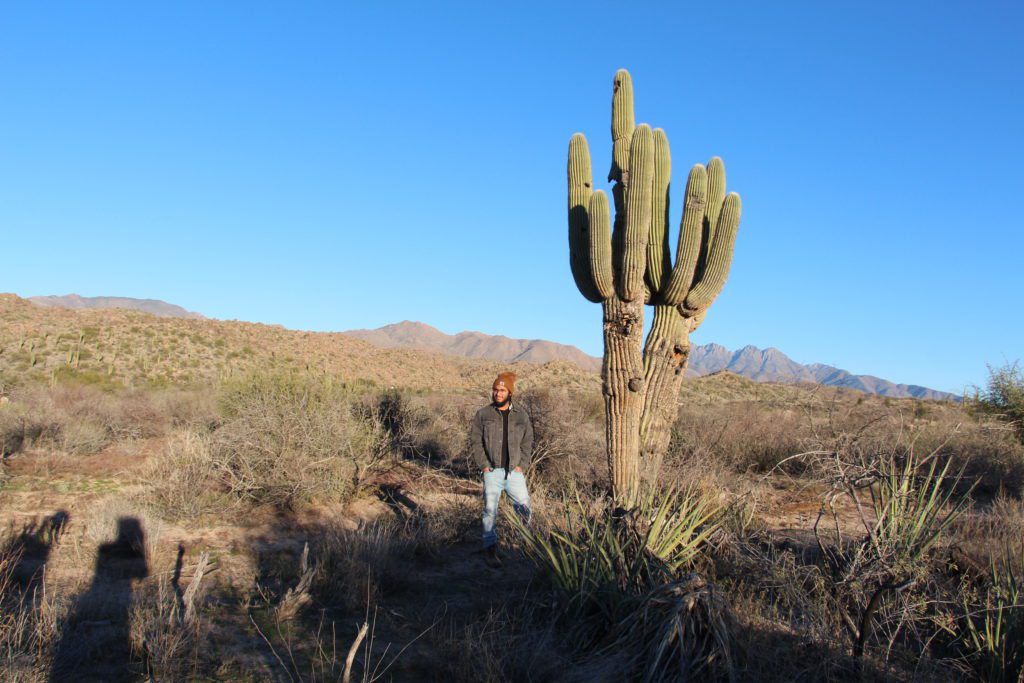 Sonoran Desert