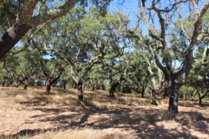 Nature reserve