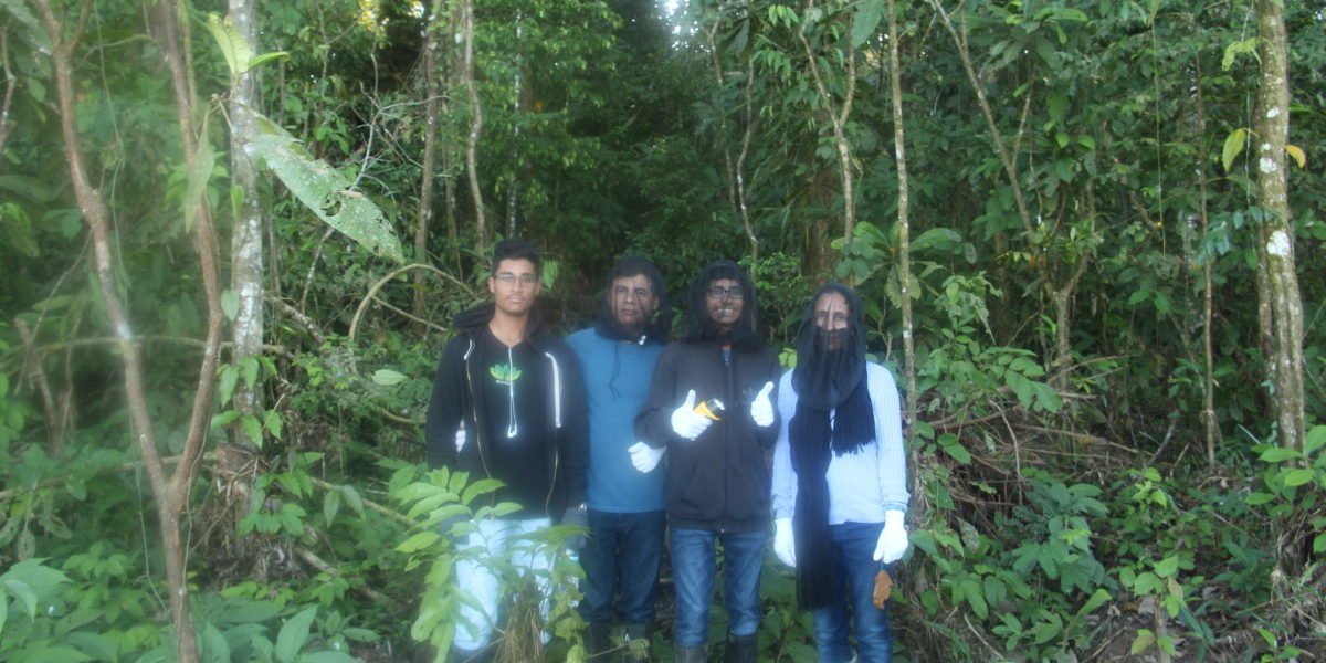 People standing in Amazon Rainforest